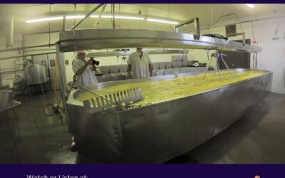 Cheese making in Montcalm County