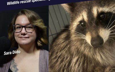 Little Rascals Wildlife Rescue in Montcalm County